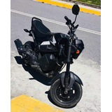 Honda Navi