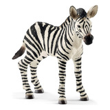 Schleich Vida Salvaje 14811 Cebra Bebé