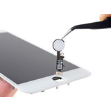 Cambio Flex Botón Home Inicio iPhone 8 - 8 Plus Nuevo