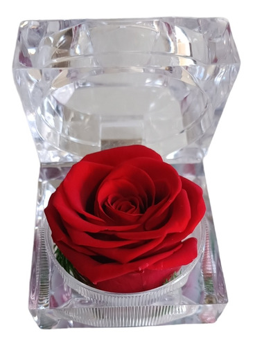 Caja De Regalo Con Rosa Artificial Para Anillo De Compromiso