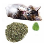 Erva Do Gato Catnip Desidratado Pet Gatos Calmante Natural