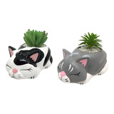 2 Cachepots Gatinhos Pet Decoração Para Amantes Gatos