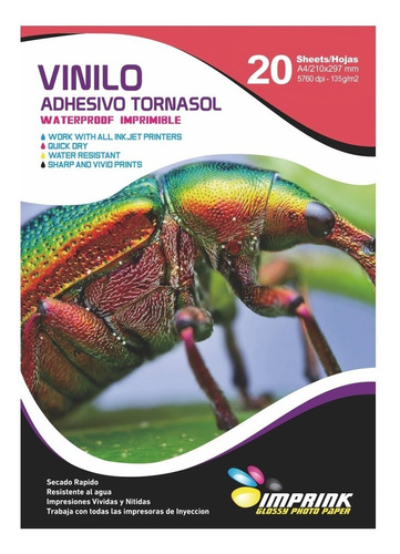 Vinilo Adhesivo Tornasol Holografico A4/20hojas..imprink