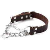 Mighty Paw Collar De Cuero Martingale Para Perro | Collar De