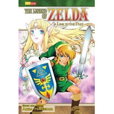 The Legend Of Zelda, Vol. 9 : A Link To The Past - Akira Him