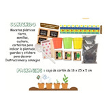 Mi Huerta Para Niños - Manualidades - Kit Niños - Hermoso