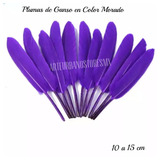 Plumas De Ganso En Color Morado Paquete De 30 Plumas