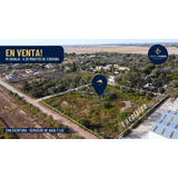 Hectarea En Venta En Mi Granja, Cordoba