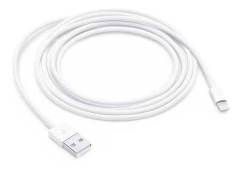 Cable Apple Lightning A Usb 2m Original