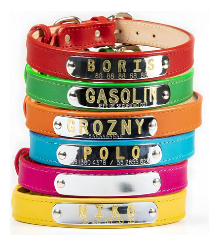 Collar Piel Perro Personalizado Placa Identificación Talla L