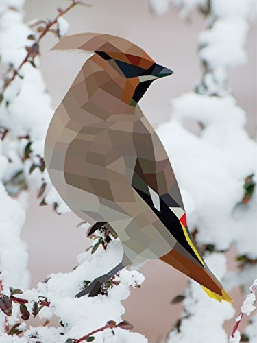 Book : Paint By Sticker: Birds: Create 12 Stunning Images...