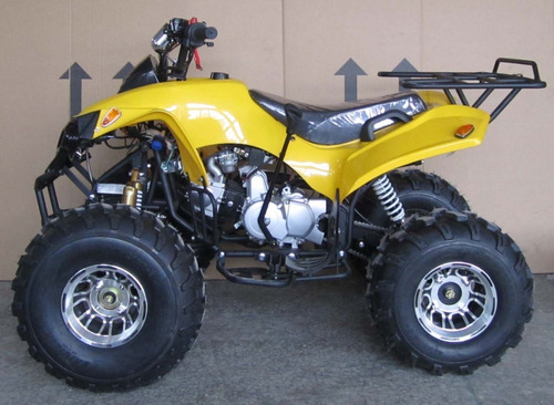 Atv Cuatrimoto Raptor 125cc Aut Ar8 Rev Dcr777