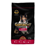 Alimento Para Perro Ganador Premium Mediano Y Grande 21kg