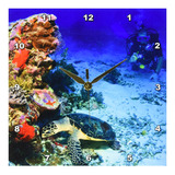 Reloj De Pared De Tortuga De Halcón Para Buceo Micronesia