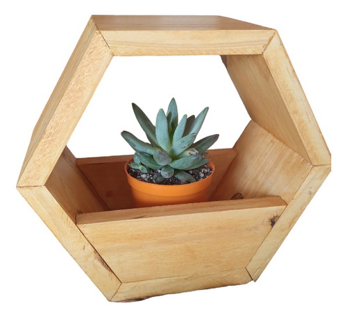 Macetero Hexagonal Madera