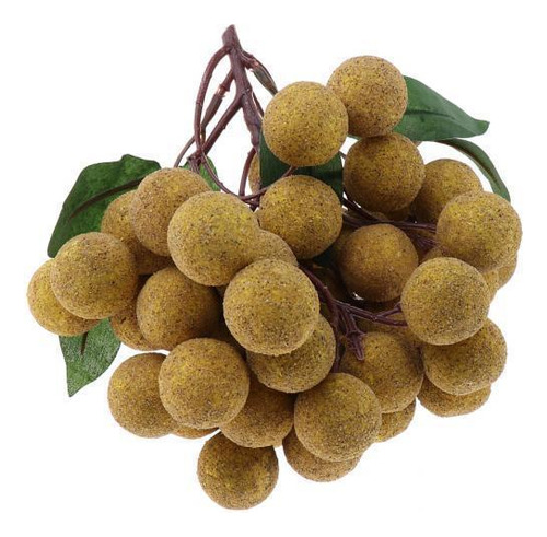 Longan De Frutas Artificiales De 10 Piezas Para Exhibir Frut