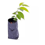 Saco Plástico Para Mudas De Plantas 8x15 Cm - 1250 Sacos