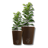 2 Vasos Grafiato Luxo 3d Plantas Casa Sala Jardim Promoção