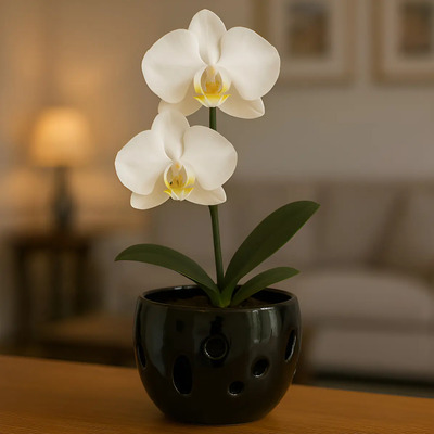 Maceta De Cerámica Esmalte Negro Para Orquídeas Pequeñas Calada Redonda | MercadoLibre