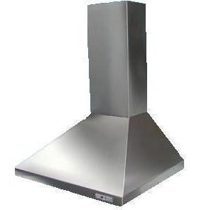 Campana Extractora De Cocina Piramidal C/motor A/inox 60 Cm.