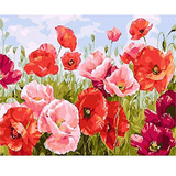 Pintura Con Pinceles, Pigmento Acrílico, Amapolas, Flores