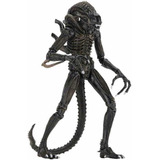 Brown Alien Warrior 1986 Neca Ultimate Nuevo Sellado