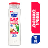 Ballerina Acondicionador Reparación Frasco 750 Ml