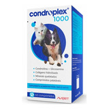 Suplemento Condroplex 1000 Avert 60 Comprimidos Full