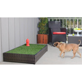 Tapete Pasto Mascota Extra Grande 1m X 50cm Calidad Premium