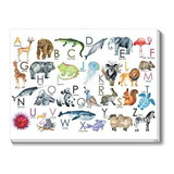 Cuadro Educativo Infantil  Abc Zoo  - 60x90 Cm.