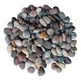 Piedras Rio De Colores Chica Decorativa Macetas  5 Kg