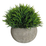 Decora Tus Ambientes Toque Belleza Mini Plantas Artificiales