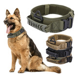 Collar Táctico Ajustable De Lanzamiento Para Perros Mascotas