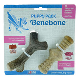 Mordedor Benebone Puppy Bacon Zaggler E Stick Cães Filhotes