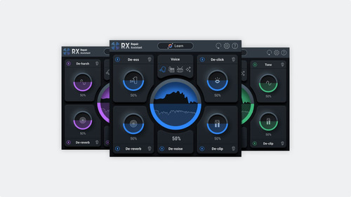 Izotope Rx 10 Elements Original Reparación De Audio Vst 