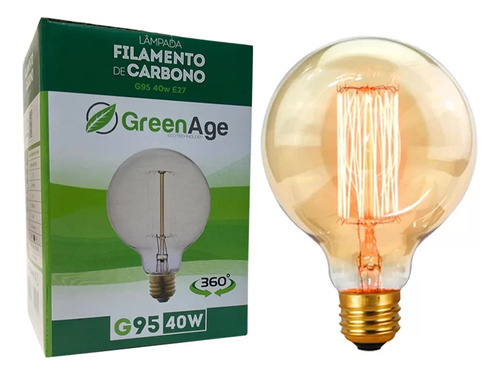Lâmpada Filamento De Carbono G95 40w 110v E27 Retrô Vintage Decorativa Branco Quente - Green Age