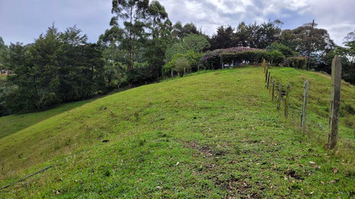 Venta De Terreno Con 3 Matriculas Ubicado En Rionegro El Higuerón - Imagen 4