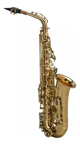 Sax Alto Shelter Sft6430l Laqueado Dourado Com Case