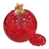 Bolas Esferas Para Hamster 19 Cm Diámetro Pethome Chile