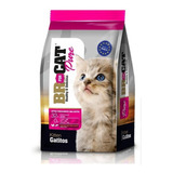 Br For Cat Kitten 3 Kg 