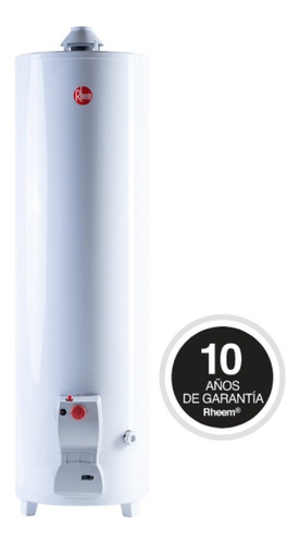 Termotanque Rheem 120 Lts Pié Multigas Functional Slim 45cm