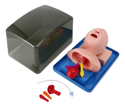 Modelo De Intubación Traqueal Neonatal Analógica Dual Pu