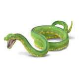  Serpiente Piton Árbol Verde 