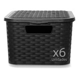 Canastos Caja Organizadora Simil Rattan Grande X6 Un