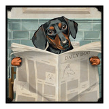 #361 - Cuadro Decorativo Vintage - Perro Baño Poster Dibujo