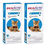 2 Bravecto Transdermal Gato De 2,8 A 6,25kg Antipulgas 250mg