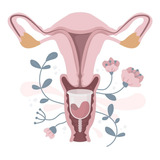 Copo / Coletor Menstrual Ecológico Importado Tamanho P & G