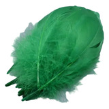 Plumas Decorativas Artificiales Color Verde Paquete X 20