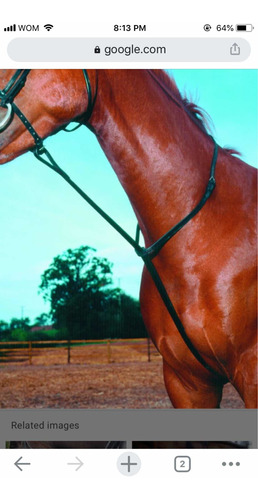 Standing Martingale For Equitacionbrown Leather.the Bt Crump