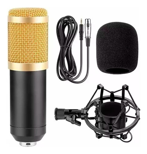 Microfone Condensador Bm800 Profissional Gravação Podcast